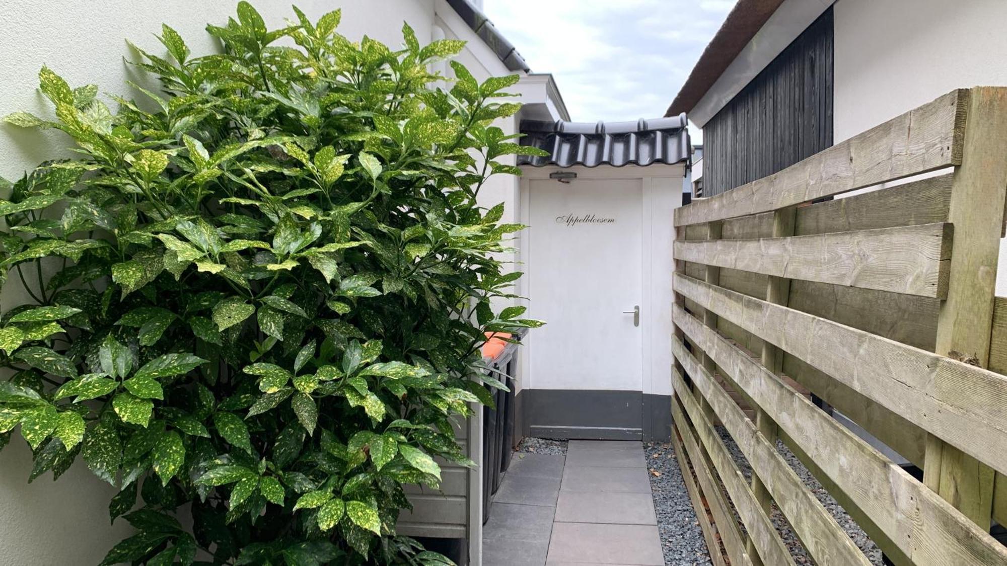 Appelbloesem Villa Bergen Luaran gambar